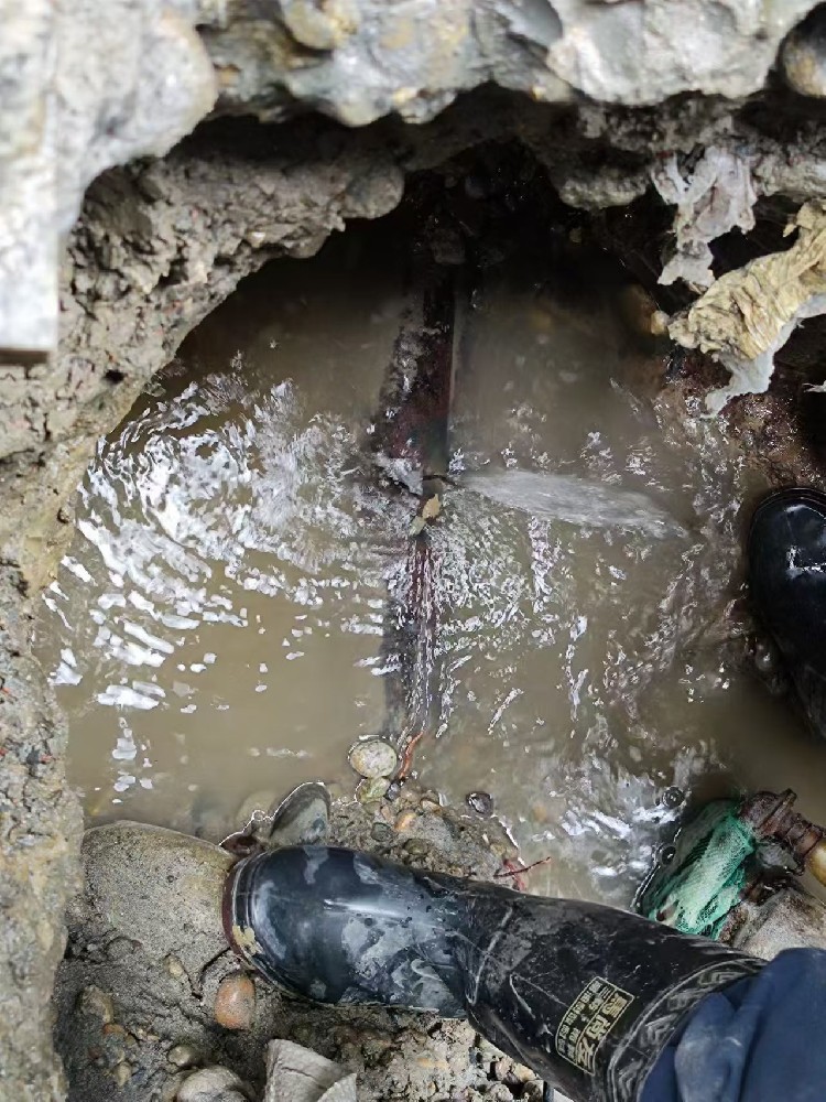 忻州本地服务：小区水管漏水检测维修